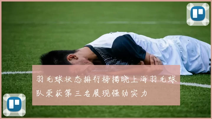 羽毛球状态排行榜揭晓上海羽毛球队荣获第三名展现强劲实力