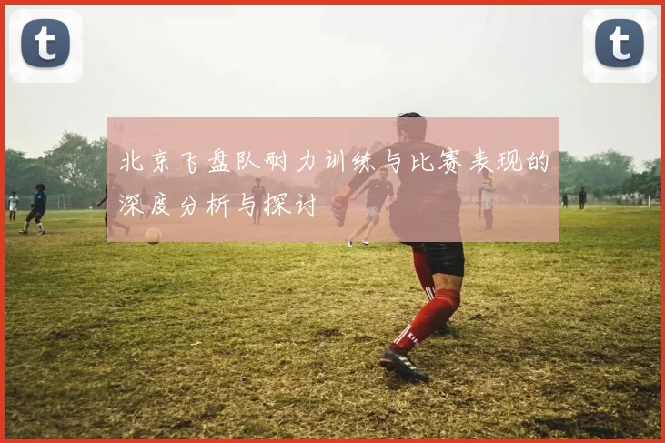 北京飞盘队耐力训练与比赛表现的深度分析与探讨