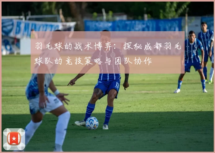 羽毛球的战术博弈：探秘成都羽毛球队的竞技策略与团队协作