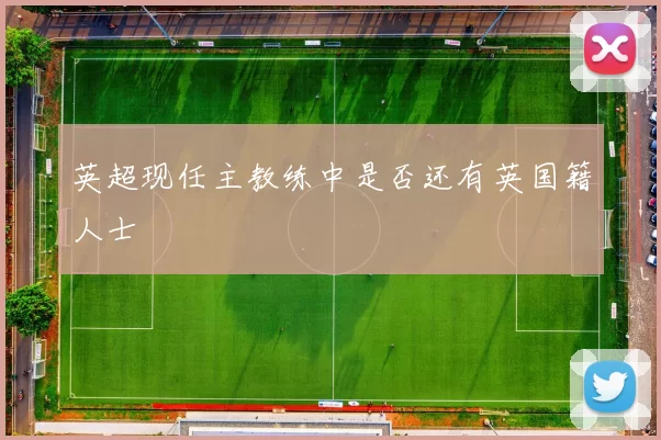 英超现任主教练中是否还有英国籍人士