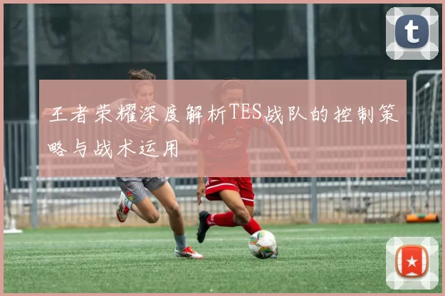 王者荣耀深度解析TES战队的控制策略与战术运用