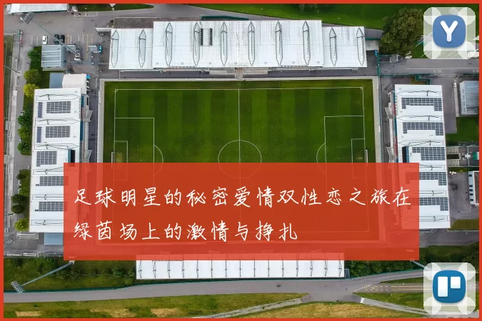 足球明星的秘密爱情双性恋之旅在绿茵场上的激情与挣扎