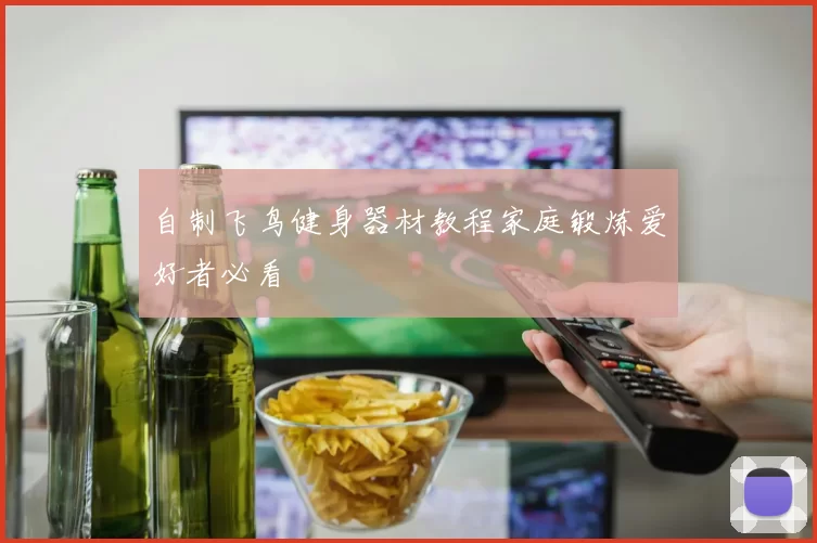 自制飞鸟健身器材教程家庭锻炼爱好者必看