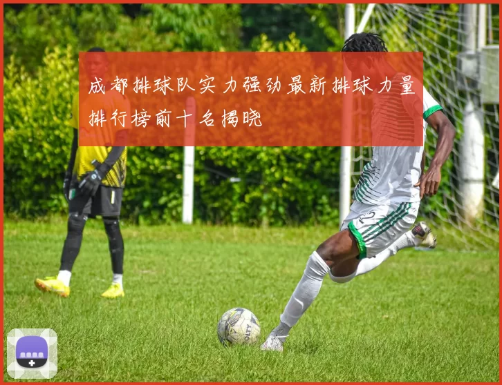 成都排球队实力强劲最新排球力量排行榜前十名揭晓