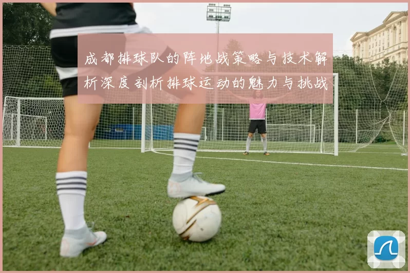 成都排球队的阵地战策略与技术解析深度剖析排球运动的魅力与挑战