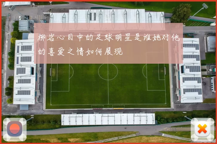 柳岩心目中的足球明星是谁她对他的喜爱之情如何展现