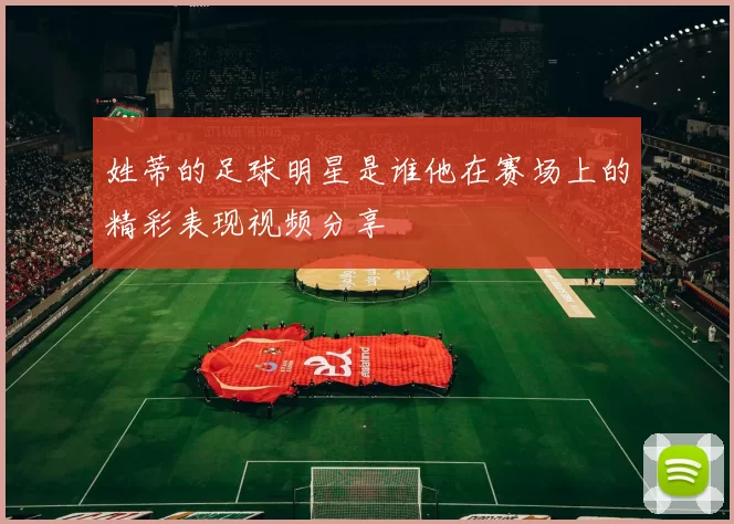 姓蒂的足球明星是谁他在赛场上的精彩表现视频分享