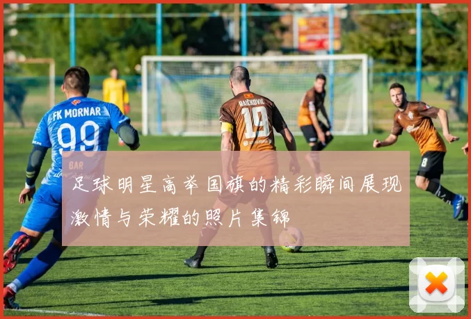 足球明星高举国旗的精彩瞬间展现激情与荣耀的照片集锦
