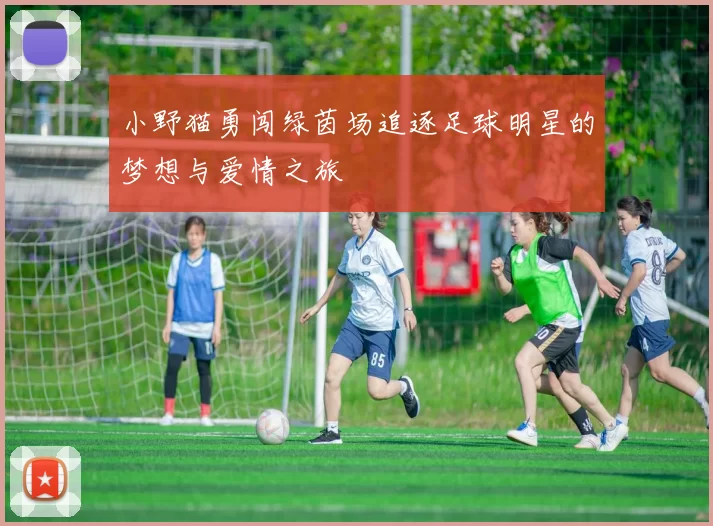 小野猫勇闯绿茵场追逐足球明星的梦想与爱情之旅
