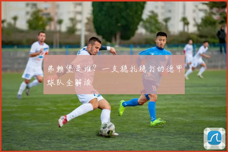 弗赖堡是谁？一支稳扎稳打的德甲球队全解读