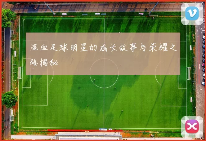 混血足球明星的成长故事与荣耀之路揭秘