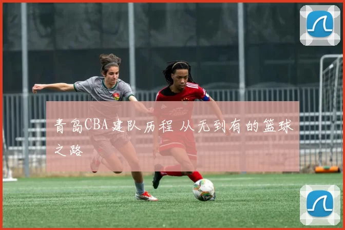 青岛CBA建队历程 从无到有的篮球之路