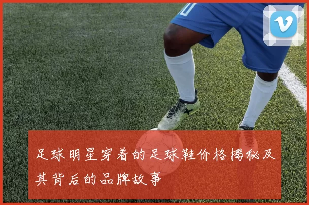 足球明星穿着的足球鞋价格揭秘及其背后的品牌故事