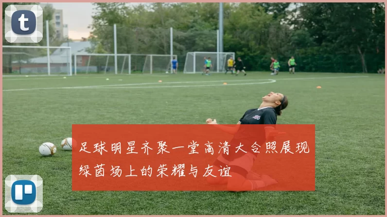 足球明星齐聚一堂高清大合照展现绿茵场上的荣耀与友谊