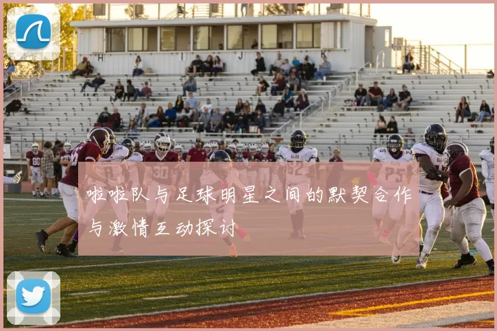 啦啦队与足球明星之间的默契合作与激情互动探讨