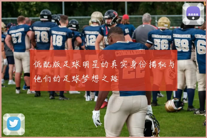 低配版足球明星的真实身份揭秘与他们的足球梦想之路
