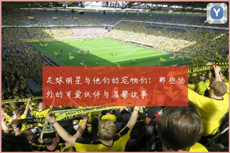 足球明星与他们的宠物们：那些场外的可爱伙伴与温馨故事