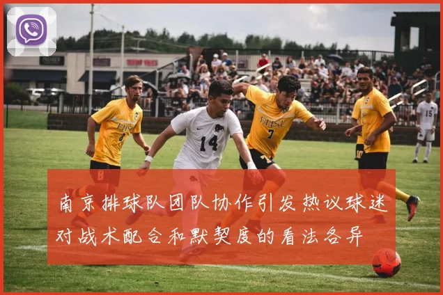 南京排球队团队协作引发热议球迷对战术配合和默契度的看法各异