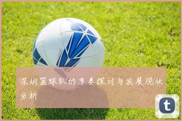 深圳篮球队的节奏探讨与发展现状分析