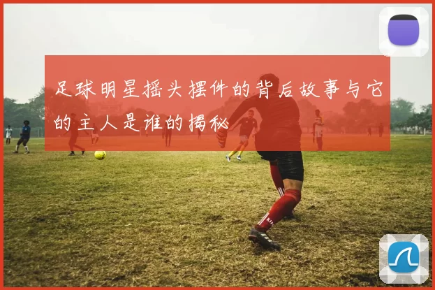 足球明星摇头摆件的背后故事与它的主人是谁的揭秘