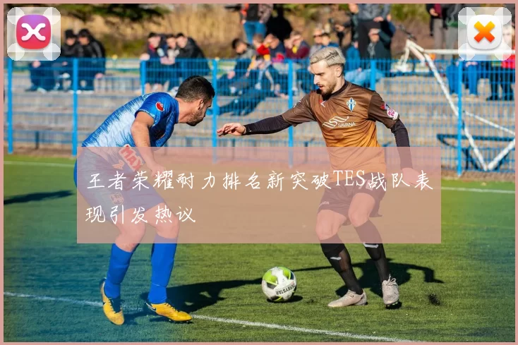 王者荣耀耐力排名新突破TES战队表现引发热议