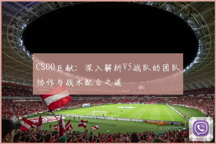CSGO巨献：深入解析V5战队的团队协作与战术配合之道