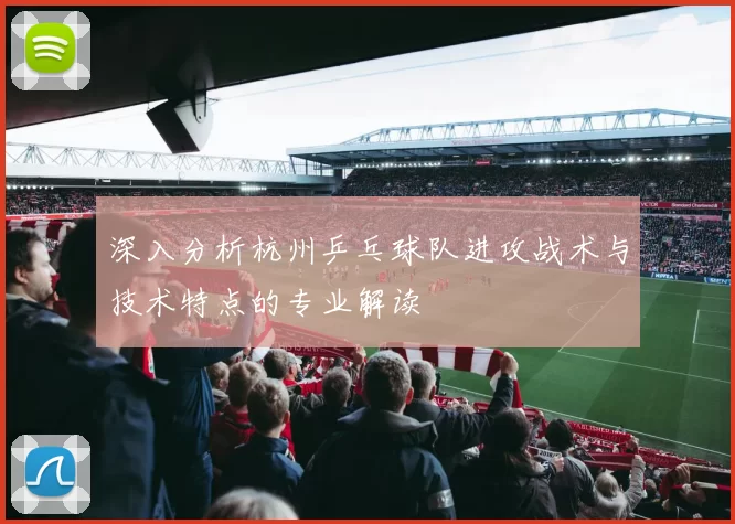 深入分析杭州乒乓球队进攻战术与技术特点的专业解读