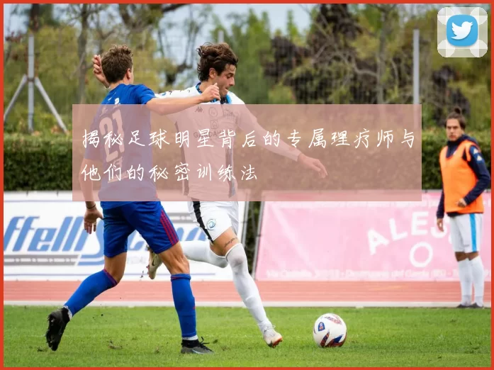 揭秘足球明星背后的专属理疗师与他们的秘密训练法