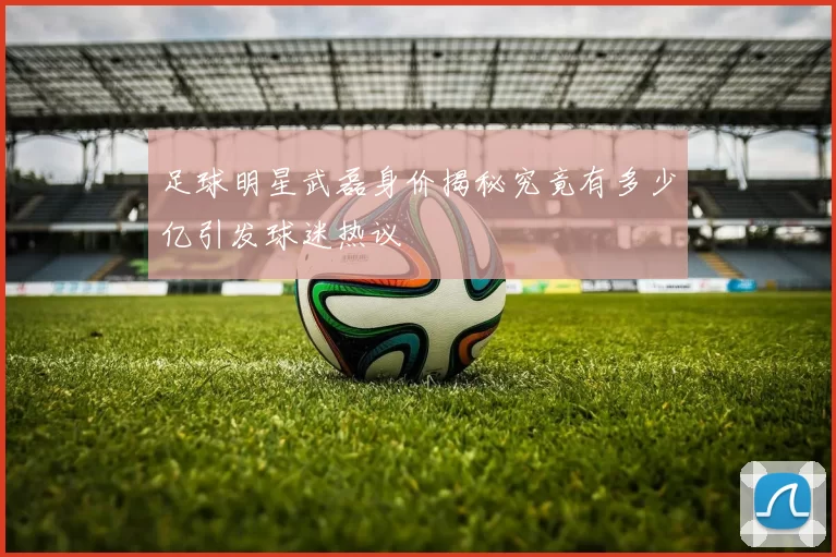 足球明星武磊身价揭秘究竟有多少亿引发球迷热议