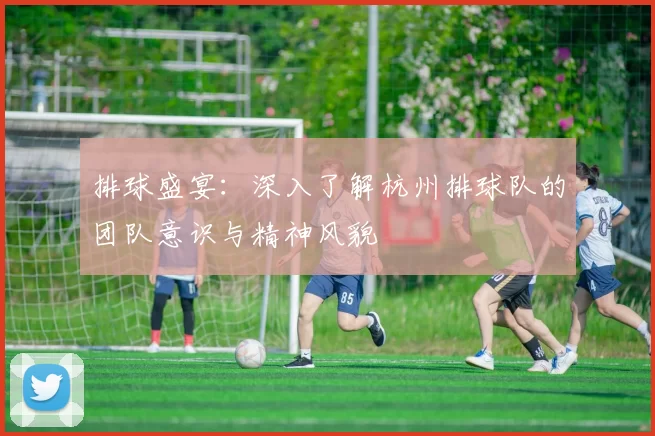 排球盛宴：深入了解杭州排球队的团队意识与精神风貌