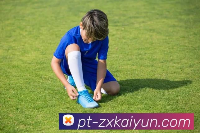 App Interface Preview